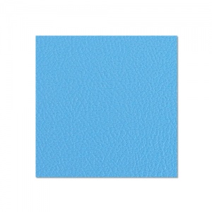 0490 G - Preglejkový panel 9.4 mm potiahnutý plastom - sky blue