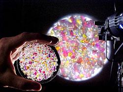 PRISMATICS gobo